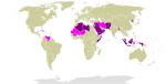 圖中深紫色為不承認以色列國的國家
