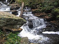Ricketts Glen State Park Delaware Falls 2.jpg