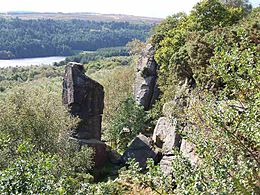 Rivelin Rocks