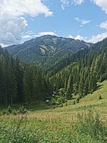 Blick von der Utschmoaralm über den östlichen Talschluss aufs Roßeck.