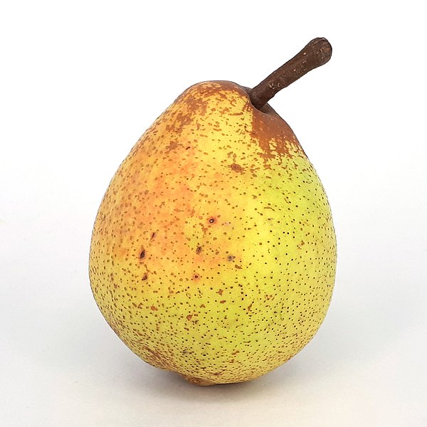 File:Rocha Pear 2017 C1.jpg