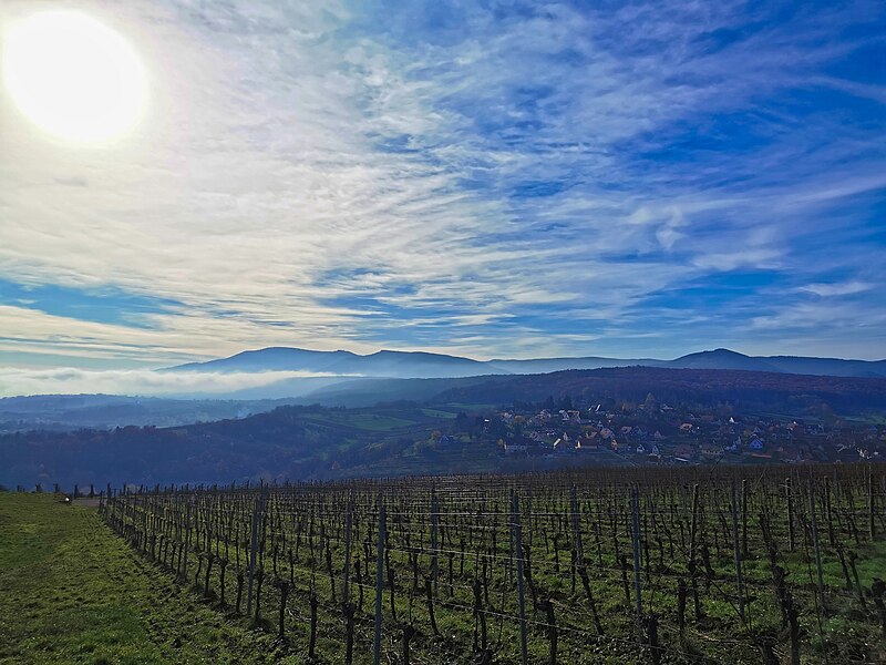 File:Rosenwiller et les montagnes brumeuses.jpg