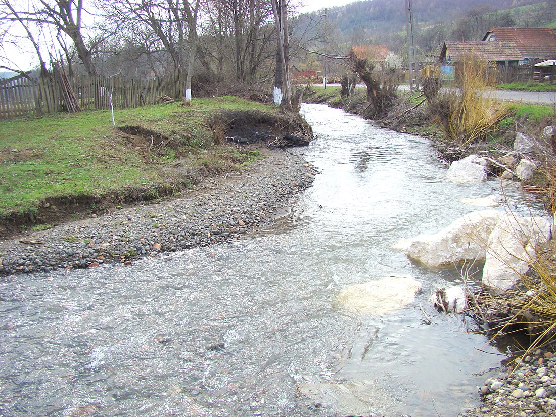 Valea Roșie (Mureș)