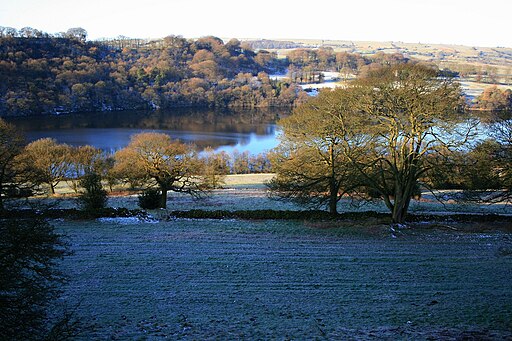 Rudyard Reservoir - geograph.org.uk - 1707033