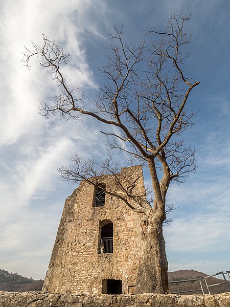 File:Ruine Neideck 3040133.jpg