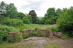 Ruined Hawthorn in Dunton Plotlands - geograph.org.uk - 1375134.jpg