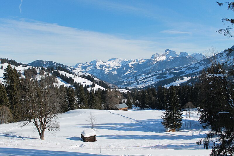 File:Saanenmöser - Plani - Rellerli - panoramio (20).jpg