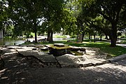 The Bosque along the Concho River