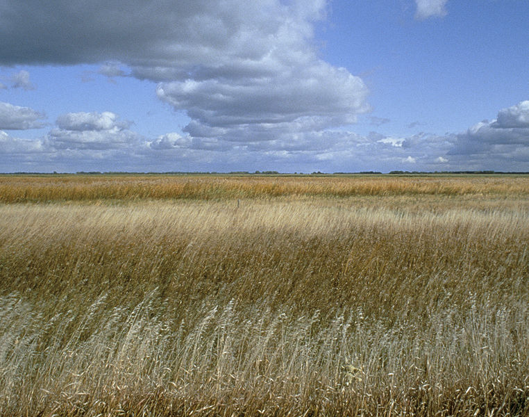 File:Sand Lake National Wildlife Refuge.jpg