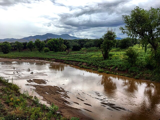 The Santa Cruz River flowing northwards near Kino Springs shortly after re-entering the U.S. from Mexico.