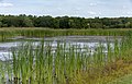 * Nomination Wetlands at Scioto Grove Metro Park -- Sixflashphoto 00:56, 29 August 2018 (UTC) * Promotion Good quality. -- Johann Jaritz 02:13, 29 August 2018 (UTC)