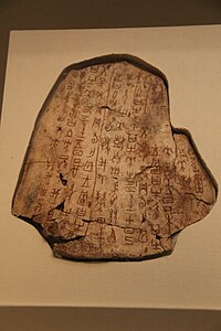 Shang Inscribed Ox Scapula (for divination).jpg