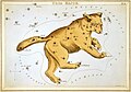 Ursa Major as depicted in Urania's Mirror, a set of constellation cards published in London c.1825.