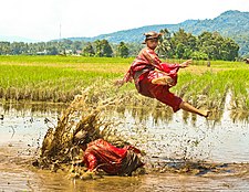 A demonstration of Pencak Silat, a form of martial arts. Silek Linyah ( Silat Lumpur ).jpg