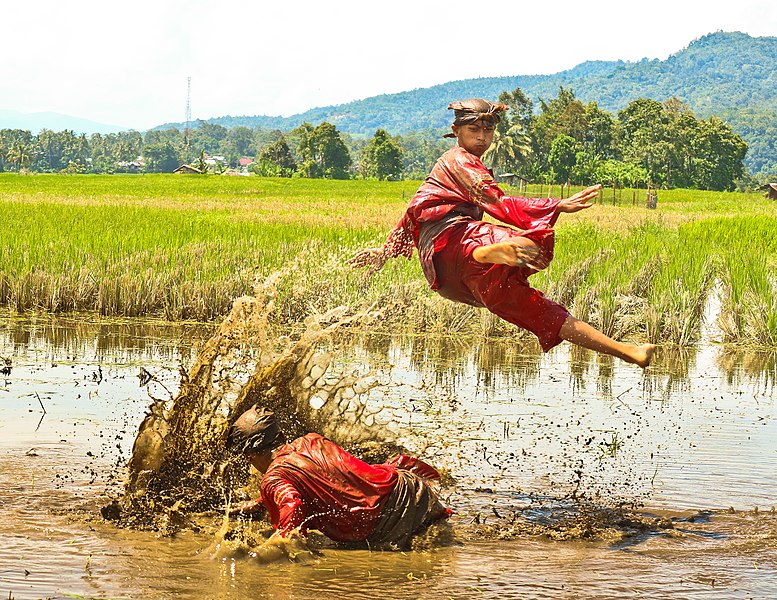 File:Silek Linyah ( Silat Lumpur ).jpg