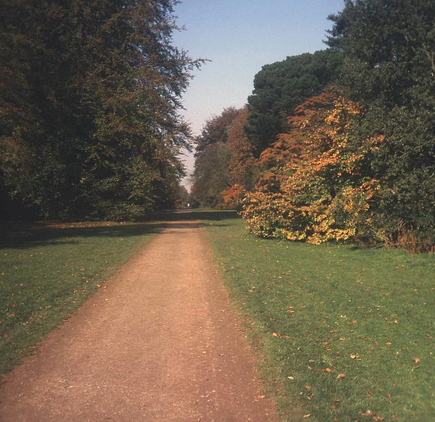 File:Silk Wood - geograph.org.uk - 995330.jpg