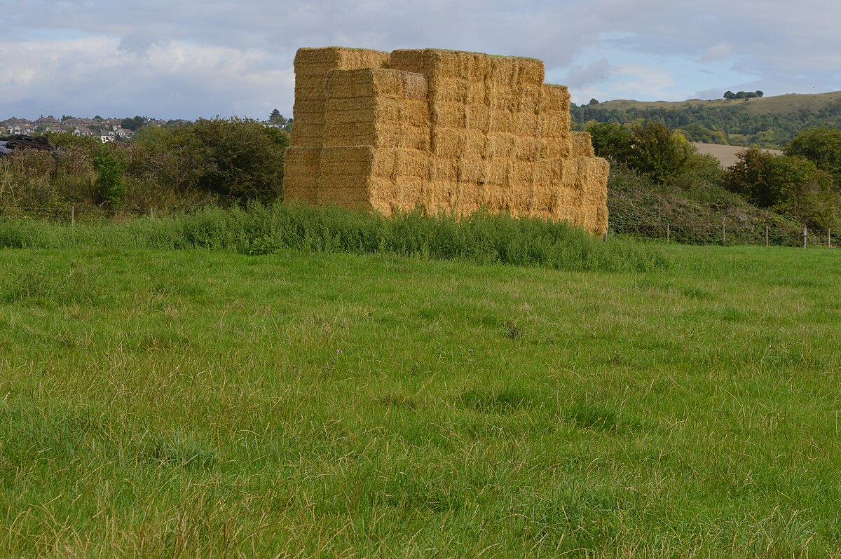 Totternhoe Roman villa