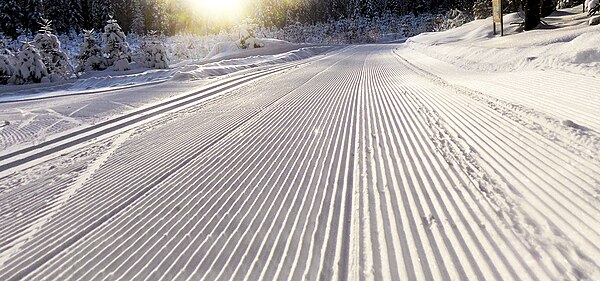 A groomed cross-country trail, showing corduroy for skate-skiing and classic tracks (left)