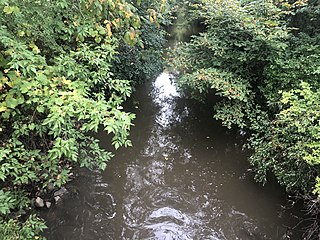 <span class="mw-page-title-main">Skokie River</span> River in the United States of America