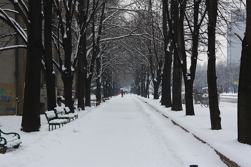 File:Skopski Gradski Park (123).jpg