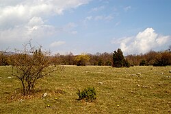 Louka na Zádielské planině