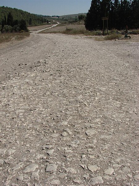 File:Soling Road Ramot Menashe Park 7 (Large).jpg