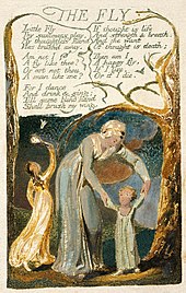 William Blake's illustration of "The Fly" in Songs of Innocence and of Experience (1794) Songs of Innocence and of Experience copy F object 48 THE FLY 1794.jpg