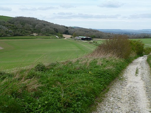 South Downs Way near Wesburton Hill - geograph.org.uk - 3941977