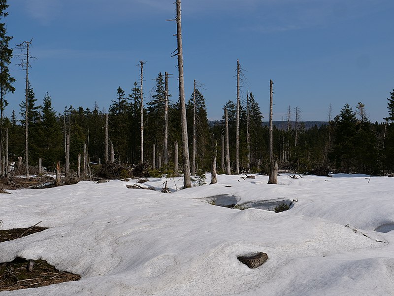 File:South of Böser Hund 22.jpg