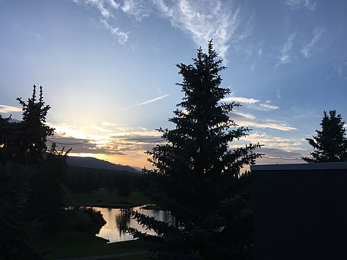 Spruce Trees and Sunset