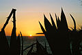 Sunset-Sicilia-bjs-2.jpg