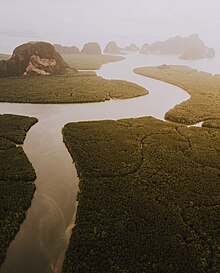 Реки и мангровые леса на закате