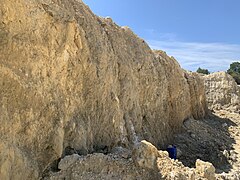 Suwannee limestone exposure.jpg