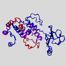 TMEM171 Structure Model.png