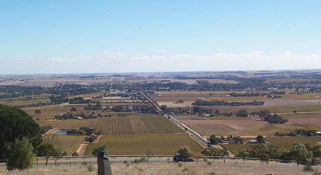 Looking across the vineyards towards Tanunda from Mengler Hill Lookout