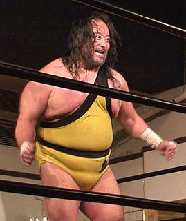 Tarzan Goto Japanese professional wrestler