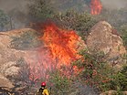 Telegraph Fire, Arizona.jpg