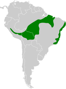 Thamnophilus palliatus map.svg