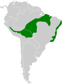 Distribución geográfica del batará dorsicastaño.