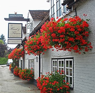<span class="mw-page-title-main">The Hand & Flowers</span> Gastropub
