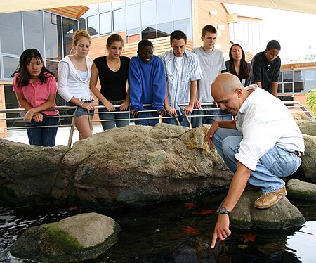 Tide pool2