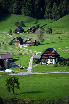 Unteres Türmlihaus Photograph: Leiju Eligible: yes - Alps: yes - Cultural heritage: yes Link