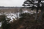 Vignette pour Réserve naturelle régionale de la tourbière des Charmes