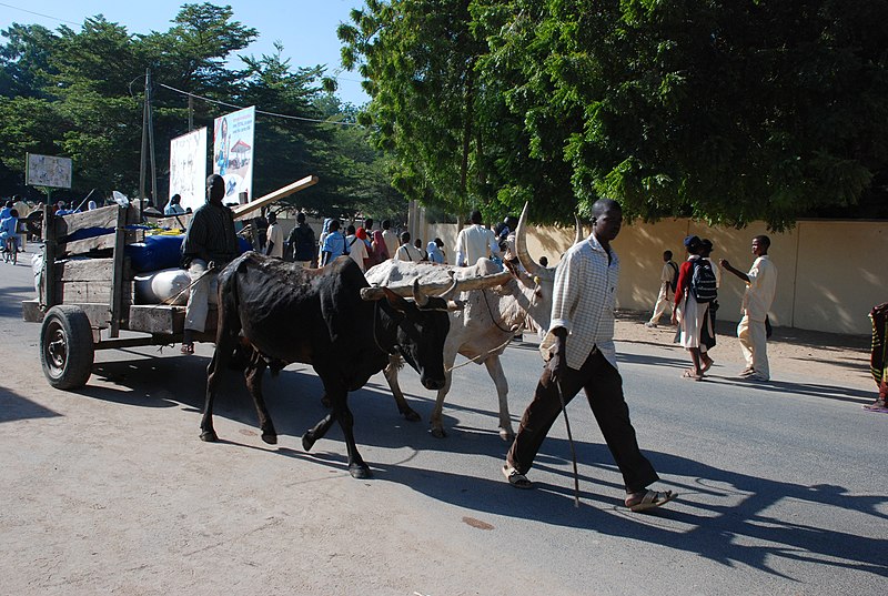 File:Transport dans la ville de Garoua1.jpg