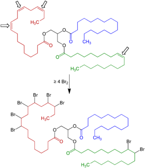 Triglyceride Bromination V.2.png