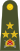 Turkey-army-OF-8.svg