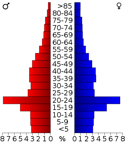 2000 census age pyramid for DeKalb County with a marked spike in college-aged individuals due to Northern Illinois University