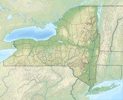 USA New York relief location map.svg