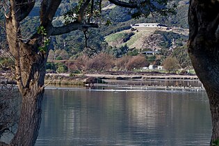 Hulu Pauatahanui Estuary.jpg