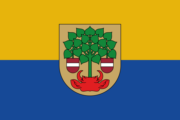File:Valmiera flag.svg